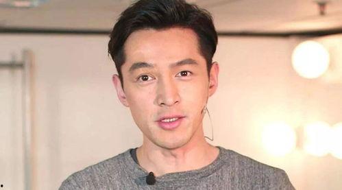 胡歌孩子此前爆料视频是真的吗,胡歌孩子爆料视频真实性探讨  第2张